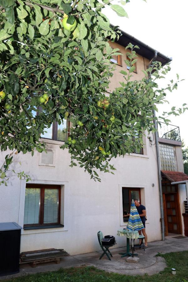 Vila Rijad SJJ Exterior foto